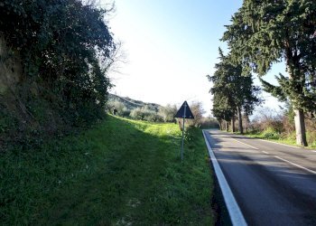 Terreno agricolo CONTRADA TARALLO, Loreto Aprutino - foto 5