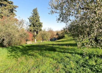 Terreno agricolo CONTRADA TARALLO, Loreto Aprutino - foto 9