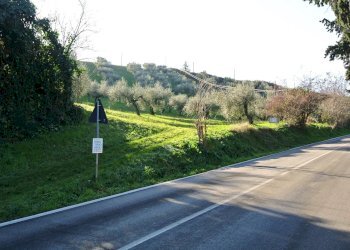 Terreno agricolo CONTRADA TARALLO, Loreto Aprutino - foto 10