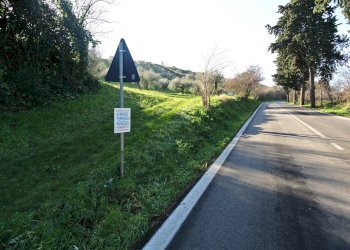 Terreno agricolo CONTRADA TARALLO, Loreto Aprutino - foto 11