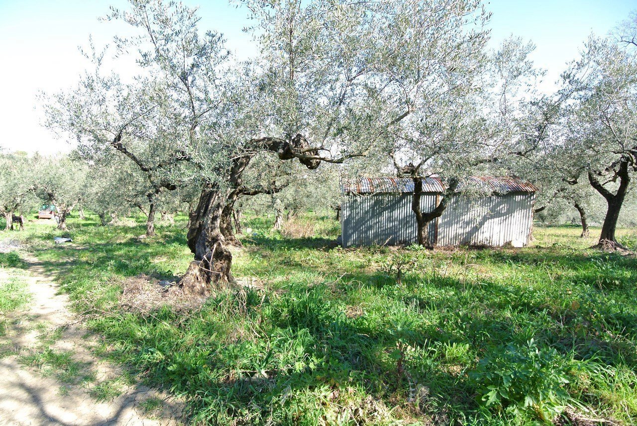 Casale Strada Provinciale Pianella-Moscufo, Moscufo - foto 1