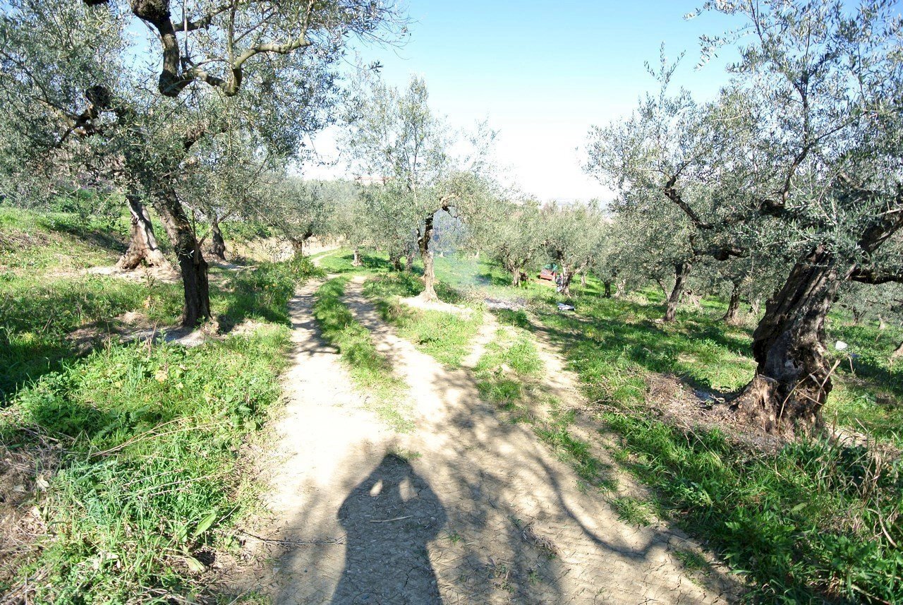 Casale Strada Provinciale Pianella-Moscufo, Moscufo - foto 3