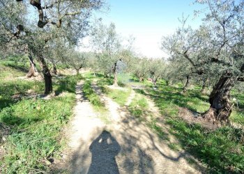 Casale Strada Provinciale Pianella-Moscufo, Moscufo - foto 3
