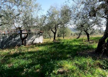 Casale Strada Provinciale Pianella-Moscufo, Moscufo - foto 5