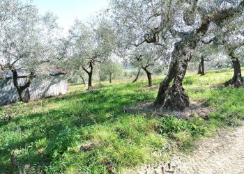 Casale Strada Provinciale Pianella-Moscufo, Moscufo - foto 7