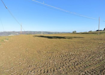 Terreno edificabile CONTRADA TARALLO, Loreto Aprutino - foto 4