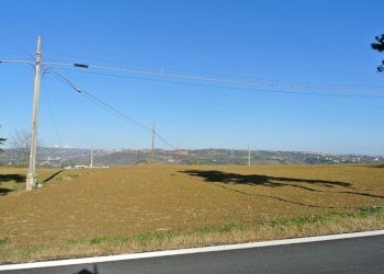 Terreno edificabile CONTRADA TARALLO, Loreto Aprutino - foto 9