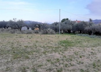 Terreno edificabile ViA Marco Polo, Montesilvano - foto 4