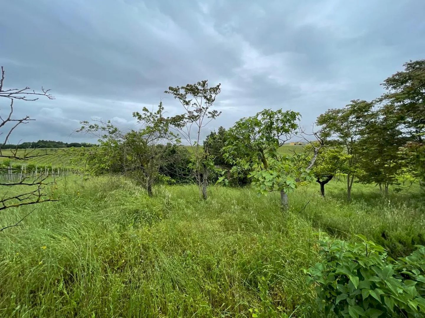 Building land CONTRADA MOSCAROLA, Città Sant'Angelo - photo 3