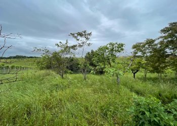 Building land CONTRADA MOSCAROLA, Città Sant'Angelo - photo 3
