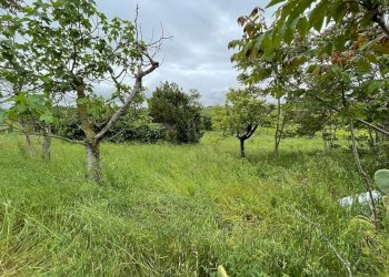 Building land CONTRADA MOSCAROLA, Città Sant'Angelo - photo 4