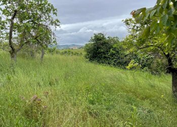 Building land CONTRADA MOSCAROLA, Città Sant'Angelo - photo 6