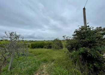 Building land CONTRADA MOSCAROLA, Città Sant'Angelo - photo 7