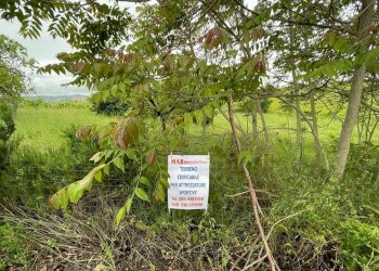Building land CONTRADA MOSCAROLA, Città Sant'Angelo - photo 9