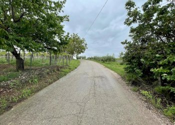 Building land CONTRADA MOSCAROLA, Città Sant'Angelo - photo 10