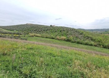 Casale Contrada Cupello, Loreto Aprutino - foto 17