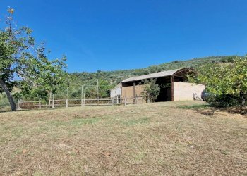 Casale Contrada Cupello, Loreto Aprutino - foto 10