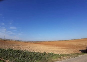 Building land VIA ACHILLE GRANDI, Città Sant'Angelo - photo 3