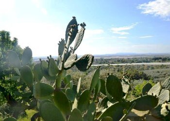 Rustico contrada Donnagona, Chiaramonte Gulfi - foto 20