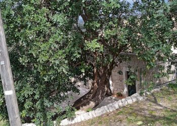 Rustico contrada Donnagona, Chiaramonte Gulfi - foto 24