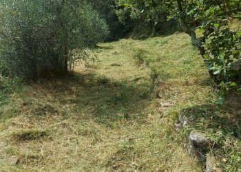 WhatsApp Image 2025-06-26 at 16.55.43.jpeg - Rustico Strada Provinciale 43, Dolcedo - foto 20