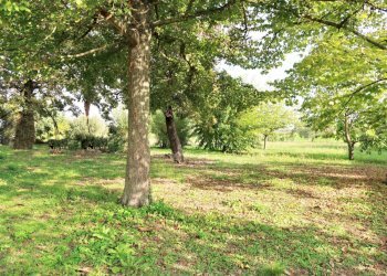 Rustic Ravenna - photo 9