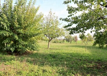 Rustic Ravenna - photo 10