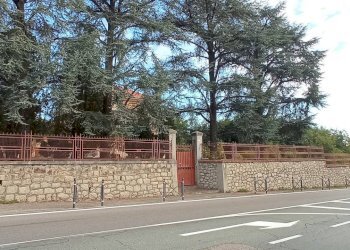 #canovaonline - Villa corso Giuseppe Garibaldi, 184, Gattinara - foto 19