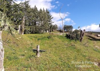 03.jpg - Porzione di casa Via dei Mandorli 49, Panicale - foto 3