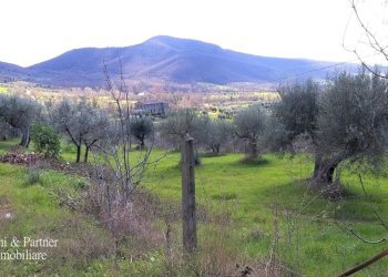 21.jpg - Porzione di casa Via dei Mandorli 49, Panicale - foto 21