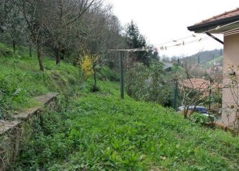 055a6595aaf0f4fc90cd61fdd52be2e1.jpg - Casa indipendente Luni - foto 8