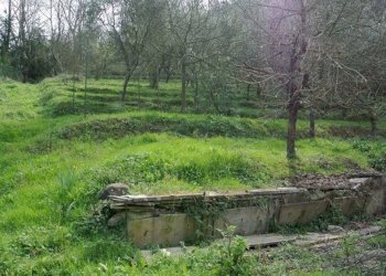 183b6241ba301b4dad9c9908578fa129.jpg - Casa indipendente Luni - foto 13