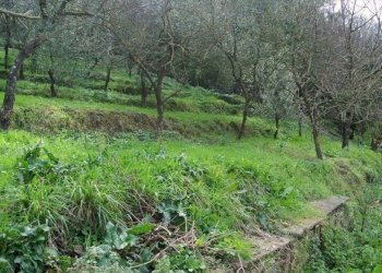 b02b8dab54408386bbda7f907b2cab57.jpg - Casa indipendente Luni - foto 23