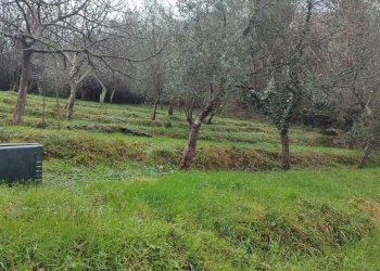 b3075b789b4f8ced7fa17bc8145b1208.jpg - Casa indipendente Luni - foto 25