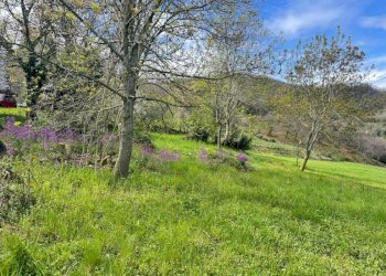 Porzione di casa Fontanelice - foto 16