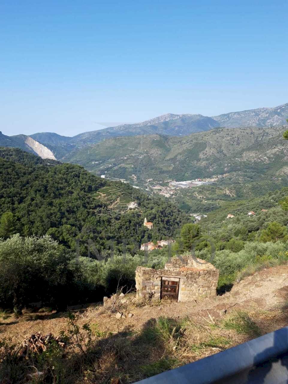 IMG-20220307-WA0004.jpg - Terreno agricolo Frazione Verrandi 1, Ventimiglia - foto 1