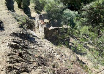 IMG-20220307-WA0002.jpg - Terreno agricolo Frazione Verrandi 1, Ventimiglia - foto 2