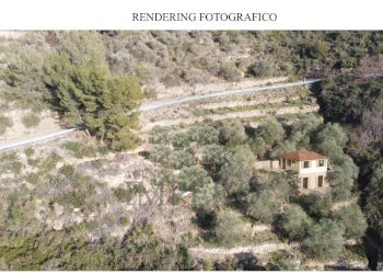 Immagine 2026-04-22 093521.png - Terreno agricolo Frazione Verrandi 1, Ventimiglia - foto 6