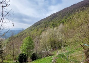 Paesaggio - Rustic Borgata Casal, Pradleves - photo 18