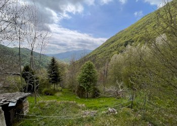 Paesaggio - Rustic Borgata Casal, Pradleves - photo 31