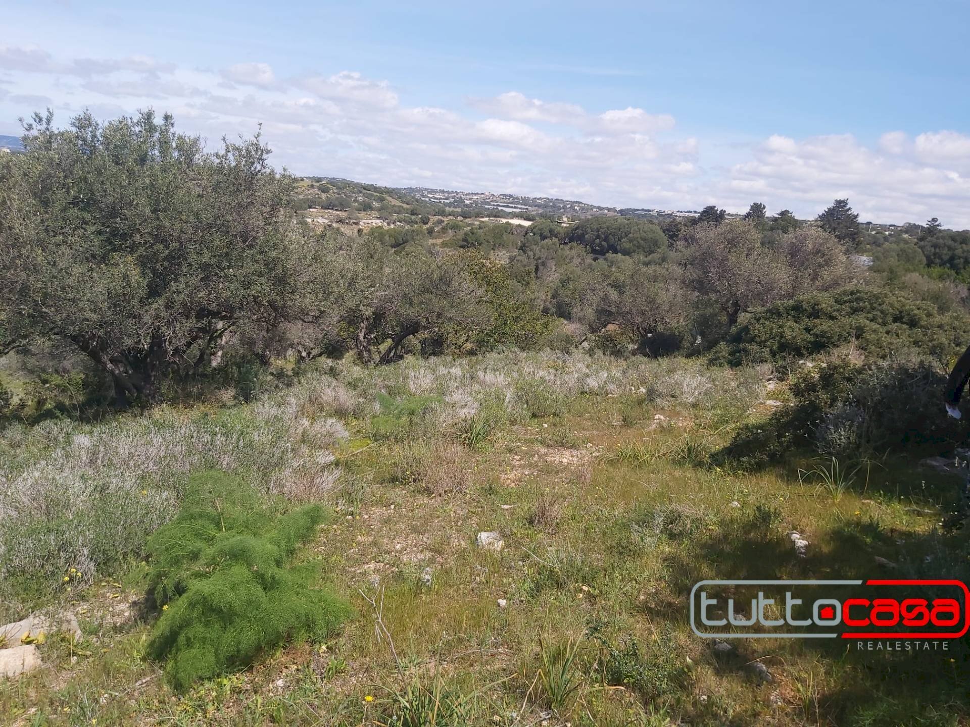 Agricultural land CONTRADA PAGLIARELLI, Scicli - photo 2