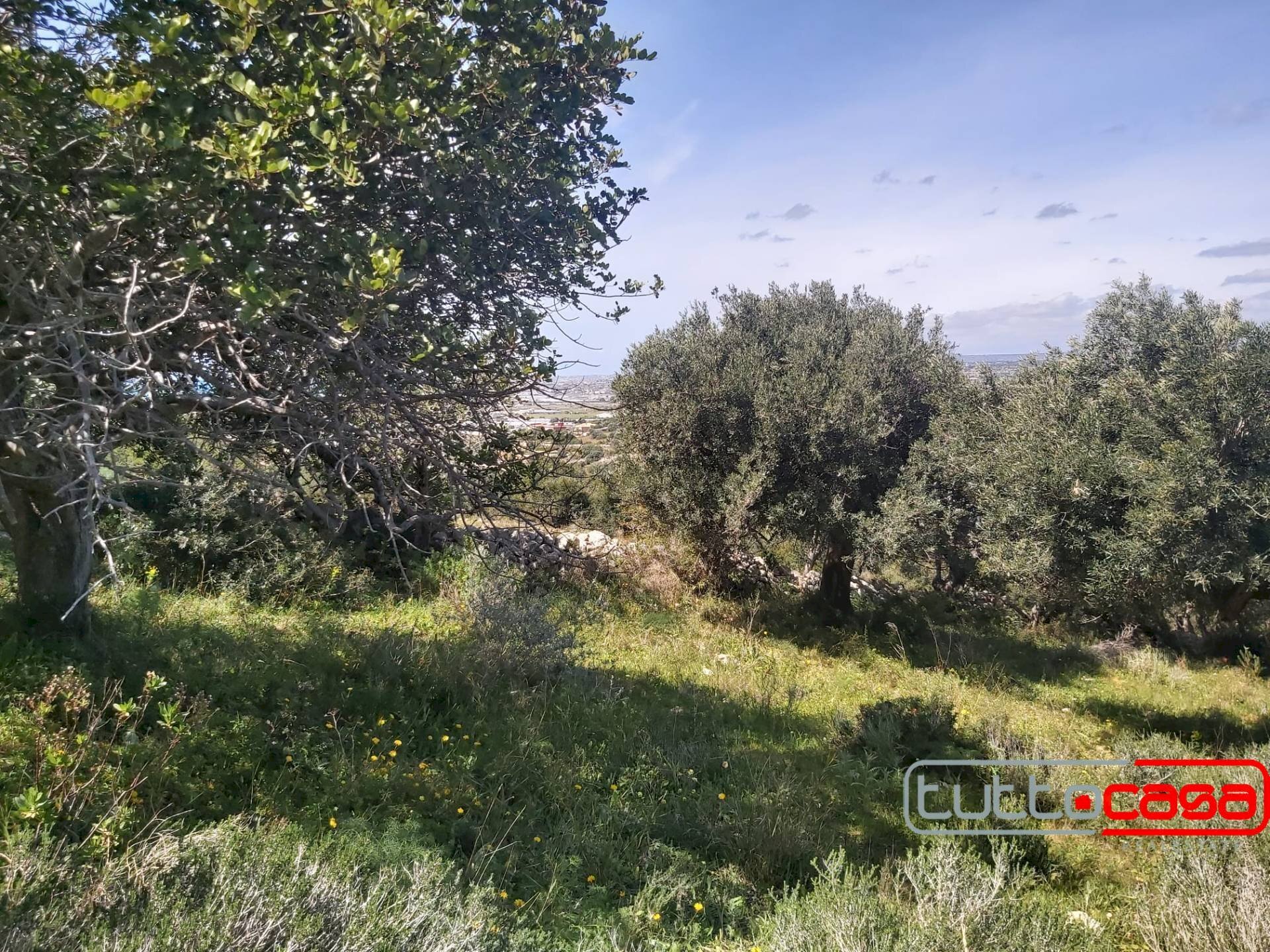 Agricultural land CONTRADA PAGLIARELLI, Scicli - photo 3