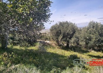 Agricultural land CONTRADA PAGLIARELLI, Scicli - photo 3
