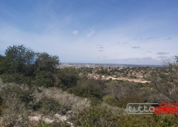 Agricultural land CONTRADA PAGLIARELLI, Scicli - photo 4