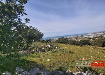 Agricultural land CONTRADA PAGLIARELLI, Scicli - photo 8