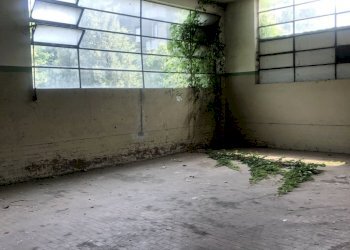 IMG_1589.JPEG - Locale Commerciale Castel San Giovanni - foto 2