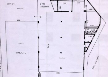 IMG_2309.jpeg - Locale Commerciale Castel San Giovanni - foto 9