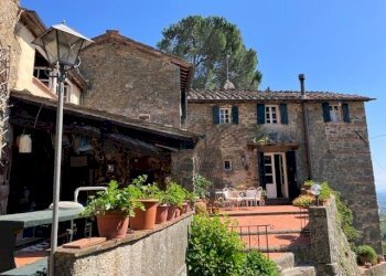 IMG_6250.jpg - Casale Capannori - photo 1