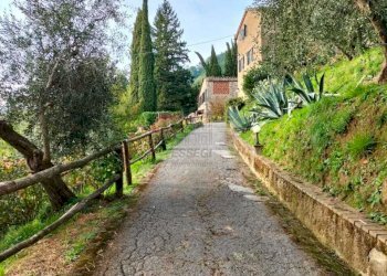 VIALE PRIVATO D\'ACCESSO.jpeg - Casale Capannori - photo 12
