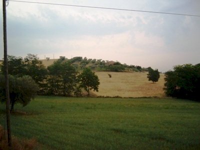Terreno edificabile Contrada San Venanzio, Controguerra - foto 1